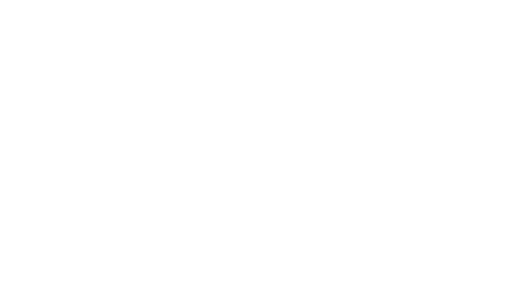 Project Logo
