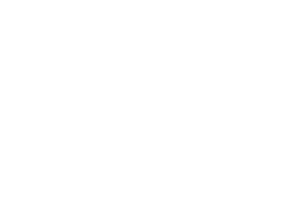 Project Logo