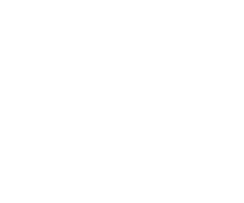 Project Logo