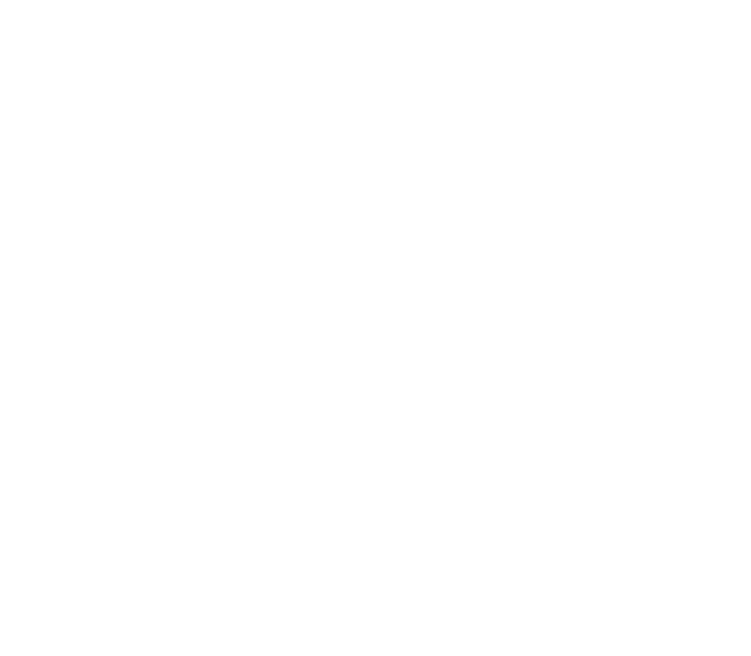 Project Logo