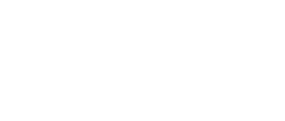 Project Logo