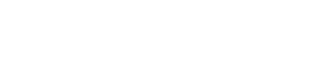 Project Logo